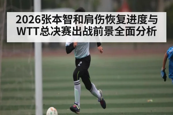 2026张本智和肩伤恢复进度与WTT总决赛出战前景全面分析